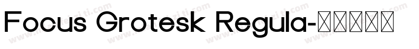Focus Grotesk Regula字体转换
